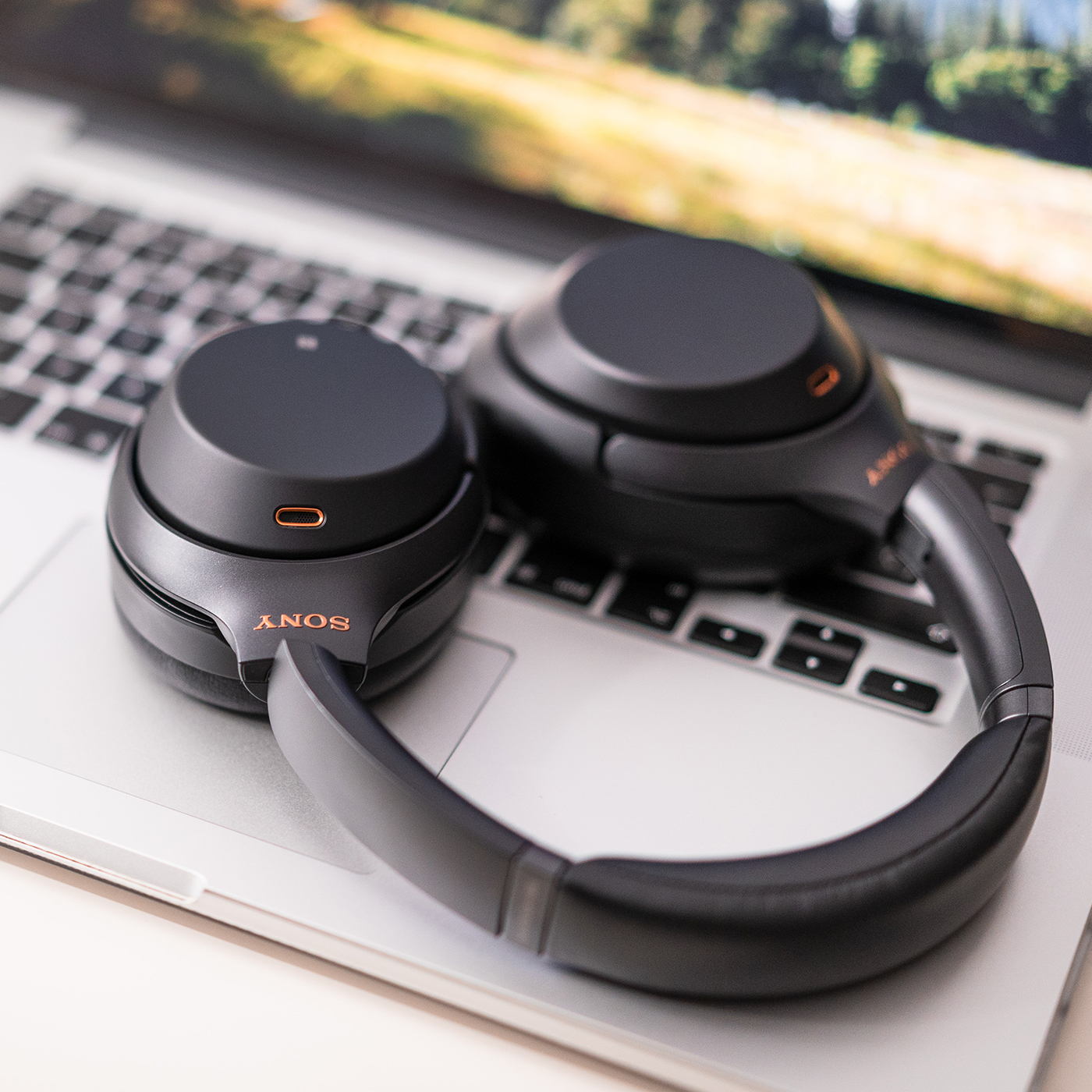 A person with poor mental health is unable to sustain physical strength.