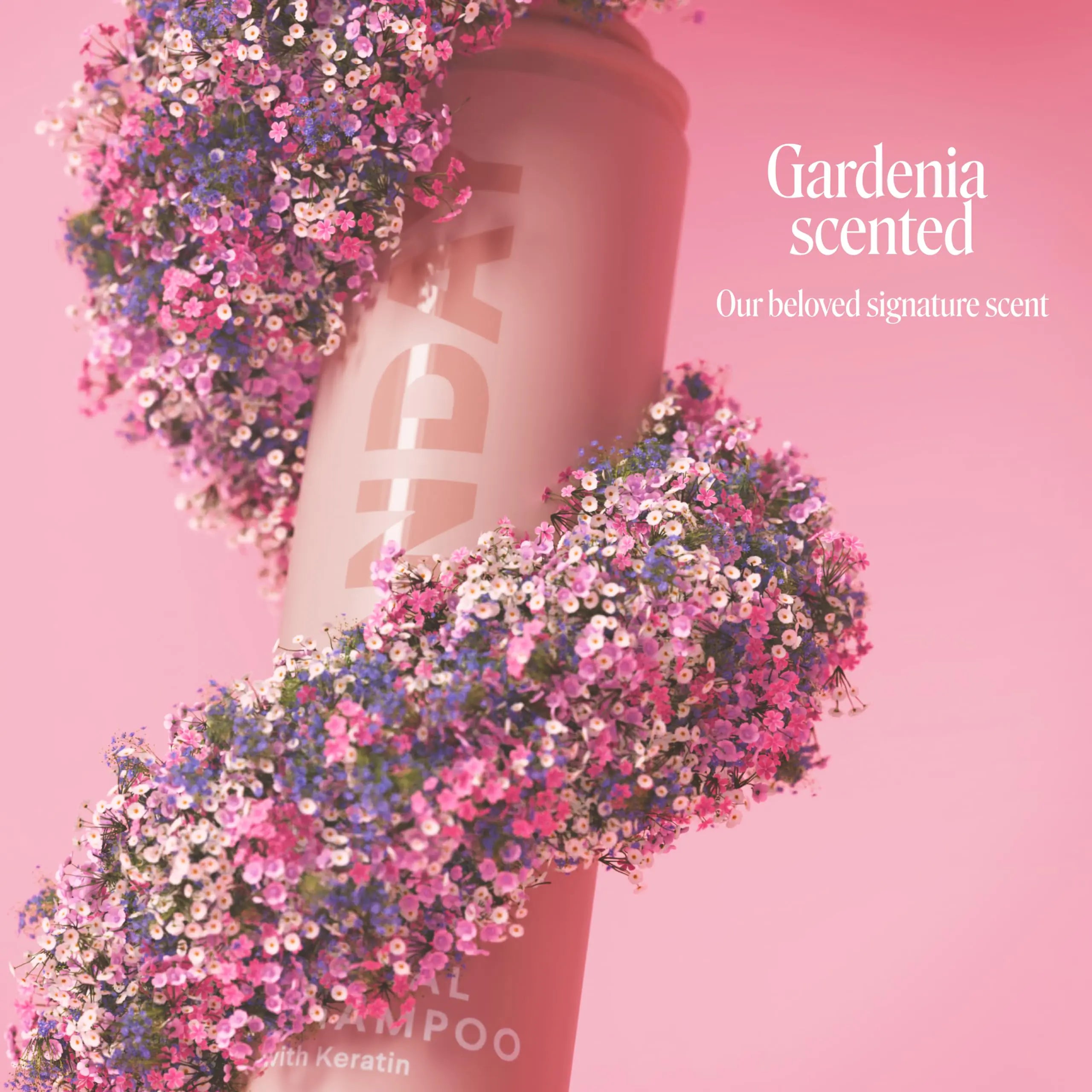 MONDAY HAIRCARE Dry Shampoo - Freshens Hair, Absorbs Oil, Nourishes with Keratin - 图片 4