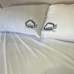 Brushed Microfiber Deep Pocket Bedsheets - Preorder