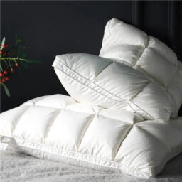 Plush Pinch Premium Goose Down Pillows
